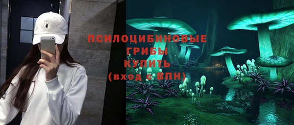 прущая мука Алексин
